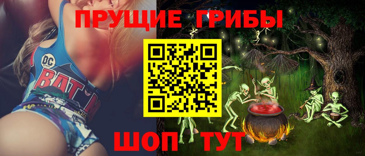 Сосновоборск  Галлюциногенные грибы прущие грибы  Вход с VPN 
