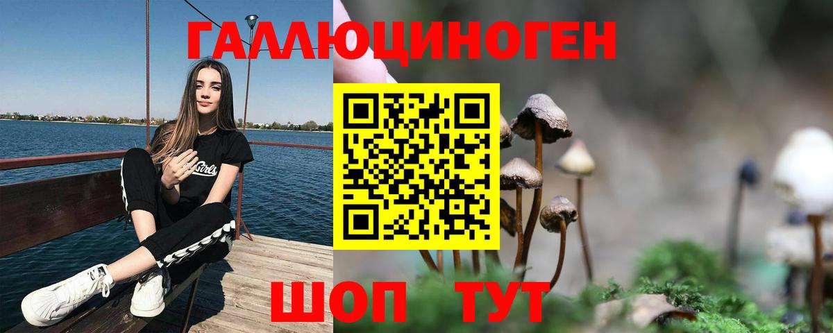 Псилоцибиновые грибы мицелий Сосновоборск